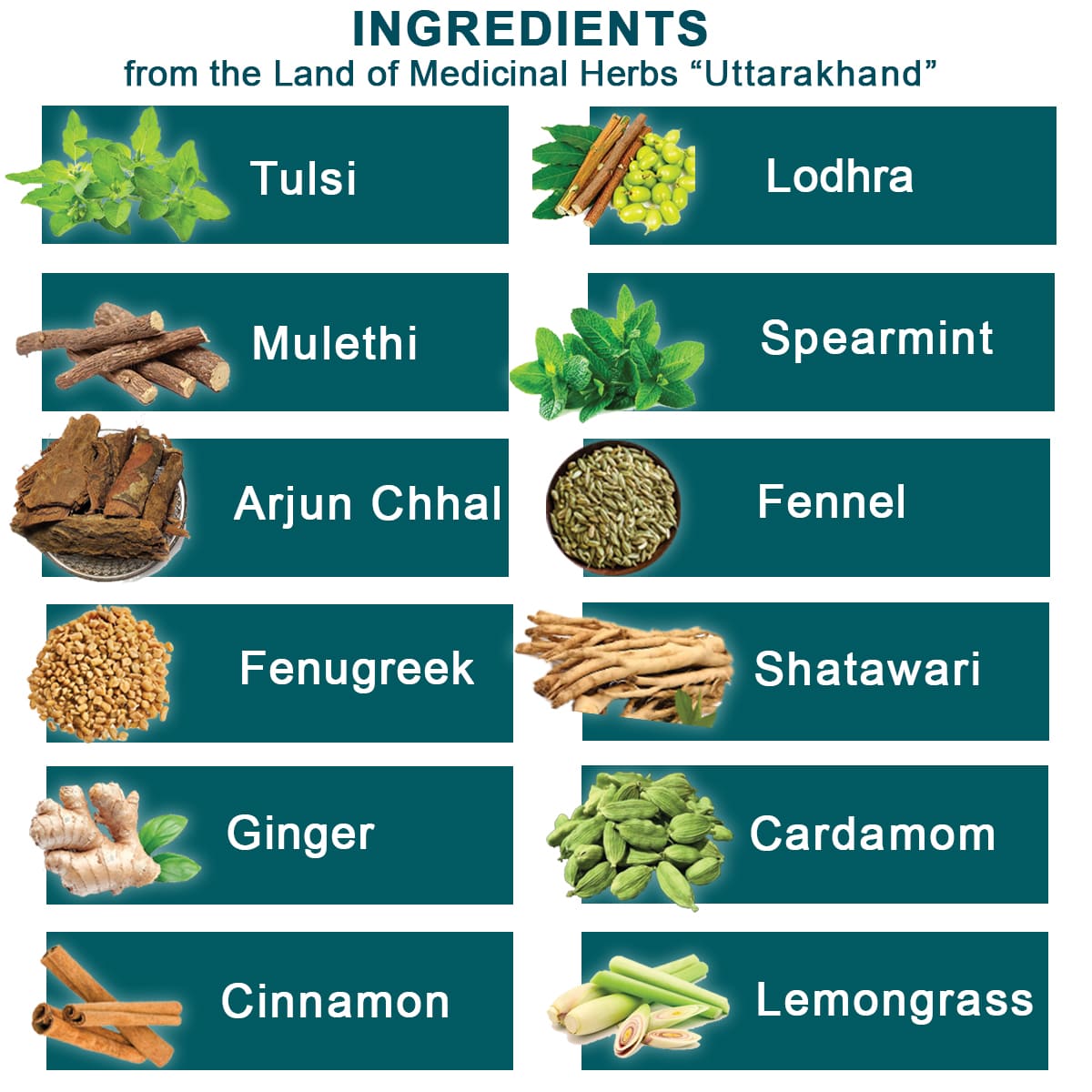 Himalayan Herbs in She Comfort Tea like Tulsi, Lodhra, Mulethi, Spearmint, Arjun Chhal, Fennel, Fenugreek, Shatawari, Ginger, Cardamom, CInnamon, Leamongrass