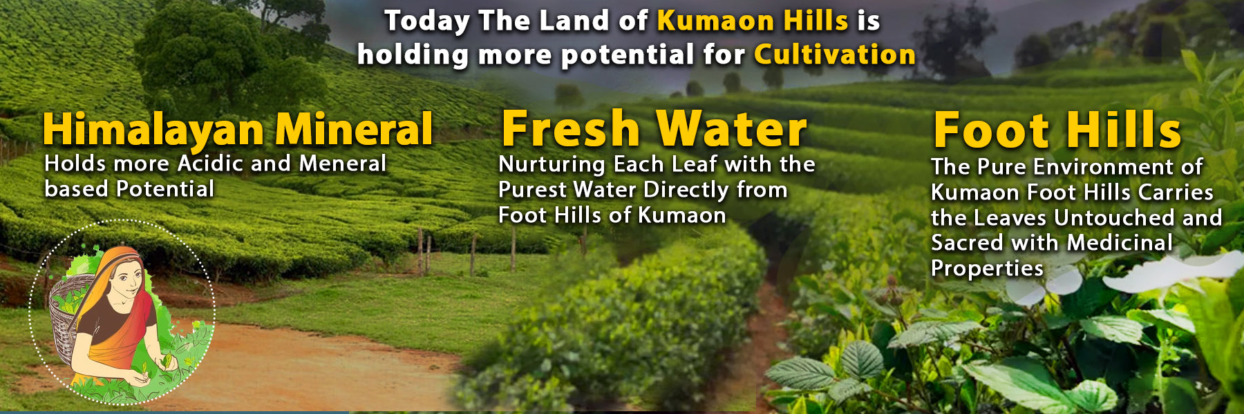 Advertisement for Kumaon Hills with text about mineral content, fresh water, and foot hills.