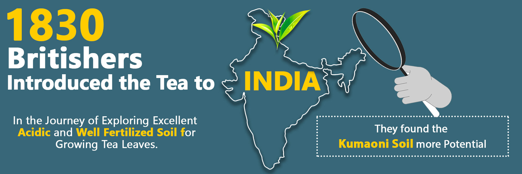 Map of India with text about British introduction of tea and Kumaoni soil.