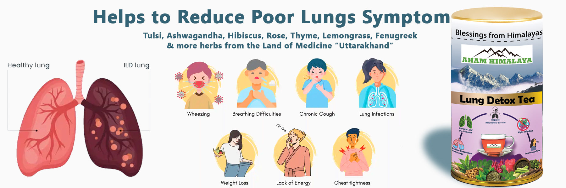 Lung health illustration with herbs and a tea product for lung detox.