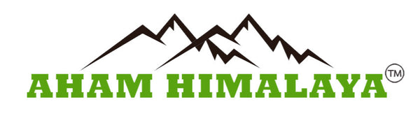 Aham Himalaya logo with mountain silhouette on a white background