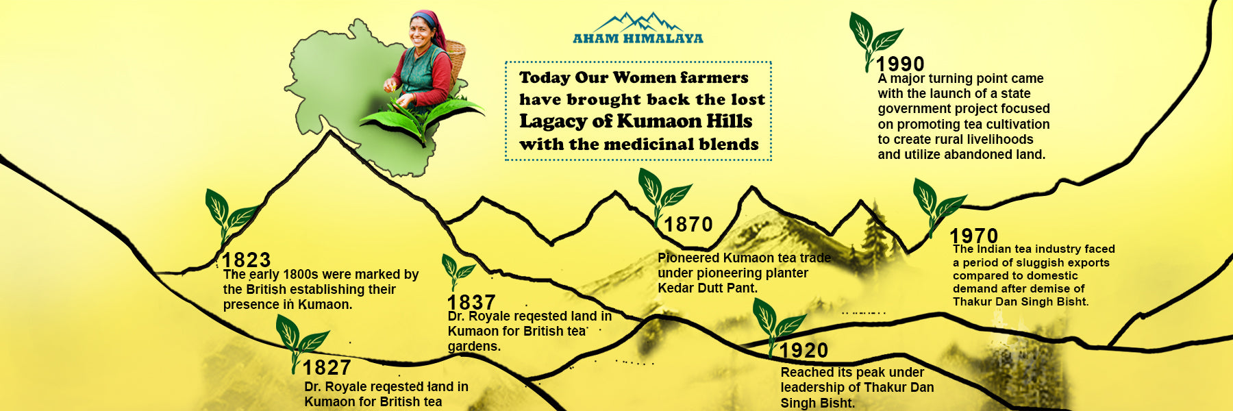 Infographic timeline of Kumareeswaram's history with medicinal blends, featuring a woman and mountain landscape.